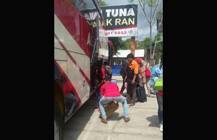 Tak Lengkapi KPS, Sejumlah PO Diusir dari Terminal Pacitan Tak Lengkapi KPS, Sejumlah PO Diusir dari Terminal Pacitan
