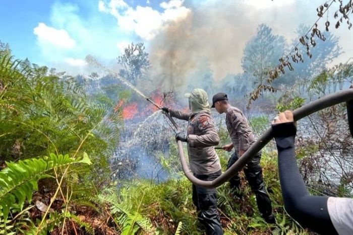 Fenomena El Nino Dapat Berpotensi Kebakaran Hutan Fenomena El Nino Dapat Berpotensi Kebakaran Hutan