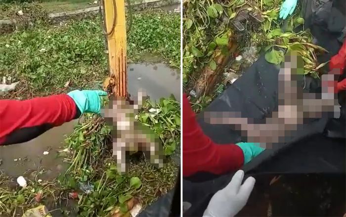 Bocah yang Tenggelam di Sidoarjo Ditemukan di Sungai Desa Candi Pari