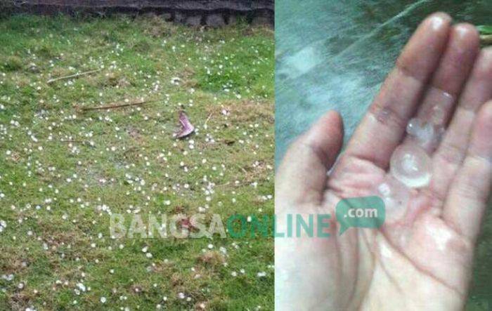 Desa Prambon di Trenggalek Diguyur Hujan Es, Warga: Bunyinya Klotak-klotak Desa Prambon di Trenggalek Diguyur Hujan Es, Warga: Bunyinya Klotak-klotak