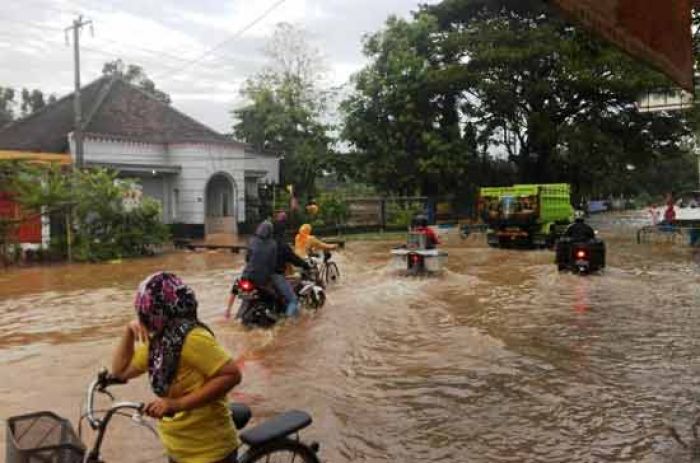 Ratusan Hektar Sawah di Pasuruan Timur Terendam Banjir