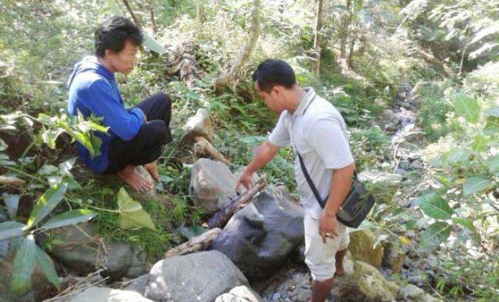 Jatuh dari Pohon Cengkih, Warga Tulakan Tewas Jatuh dari Pohon Cengkih, Warga Tulakan Tewas