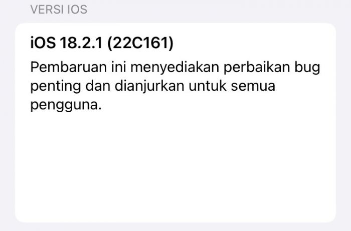 Masih Ada Bug di iOS 18.2.1, Begini Cara Mengatasinya Masih Ada Bug di iOS 18.2.1, Begini Cara Mengatasinya