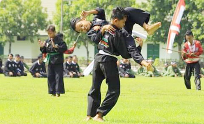 ​Sekdakot Madiun Apresiasi Pengukuhan Pencak Silat Nusantara di HUT Yonif Para Raider 501 BY