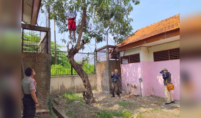 Penghuni Dinsos Sidoarjo Gantung Diri di Pohon Mangga Penghuni Dinsos Sidoarjo Gantung Diri di Pohon Mangga