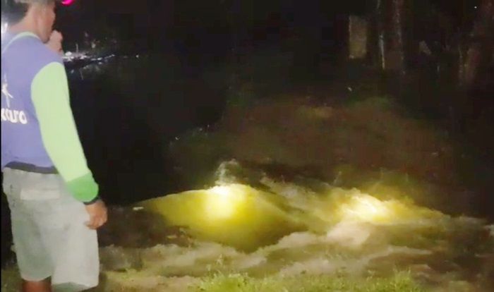 Kali Avour Ingas di Kanor Jebol Lagi, Ratusan Hektare Tanaman Padi Terendam Banjir Kali Avour Ingas di Kanor Jebol Lagi, Ratusan Hektare Tanaman Padi Terendam Banjir