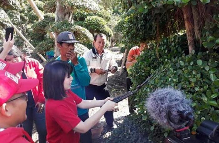 Grace Natalie Kunjungi Kampung Bonsai Lamongan