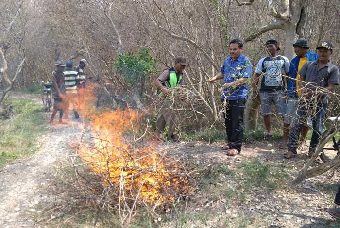 Diserang Hama Ulat, Petani Tambak di Desa Pangkahkulon Rugi Ratusan Juta