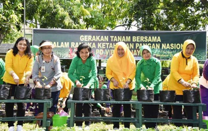 KDJAT Hadiri Gerakan Tanam Cabai 5000 Polybag untuk Kemandirian Pangan KDJAT Hadiri Gerakan Tanam Cabai 5000 Polybag untuk Kemandirian Pangan