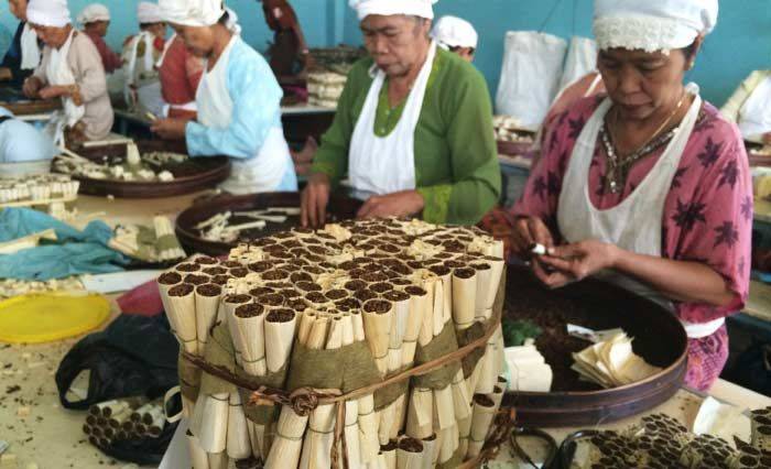 Pabrik Rokok Klobot Mulai Resah, Warga Bakal Beralih ke Rokok Linting Pabrik Rokok Klobot Mulai Resah, Warga Bakal Beralih ke Rokok Linting