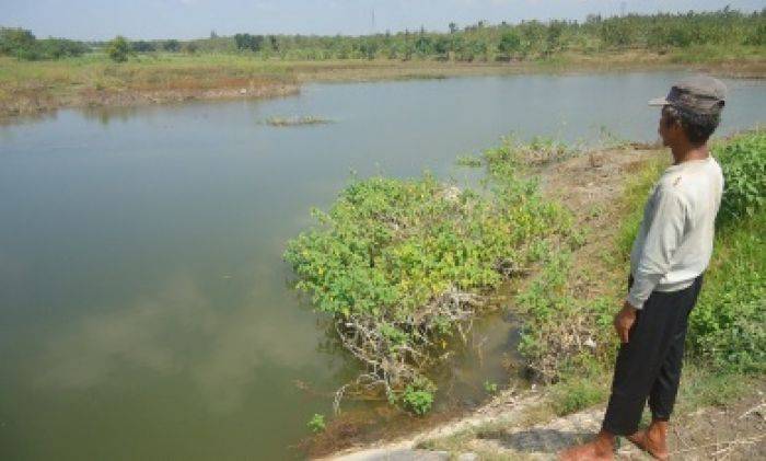 Waduk di Bojonegoro tak Maksimal Tampung Air Hujan, Petani Bimbang Waduk di Bojonegoro tak Maksimal Tampung Air Hujan, Petani Bimbang