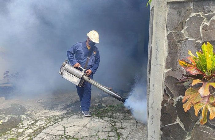 DBD dan Chikungunya Hantui Masyarakat di Kota Blitar saat Musim Hujan DBD dan Chikungunya Hantui Masyarakat di Kota Blitar saat Musim Hujan