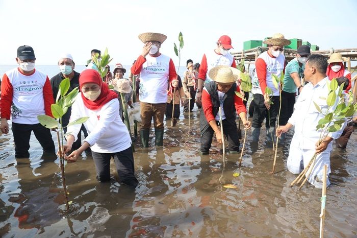 Buka Festival Mangrove Perdana, Gubernur Khofifah Ajak Sedekah Oksigen