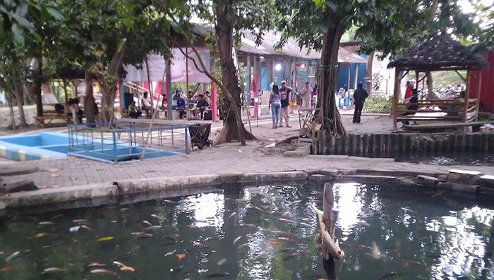 Wisata Batas Kampung Surabaya, Tempat Rekreasi dari Lahan Mati dan Tandus Seluas 10 Hektare Wisata Batas Kampung Surabaya, Tempat Rekreasi dari Lahan Mati dan Tandus Seluas 10 Hektare