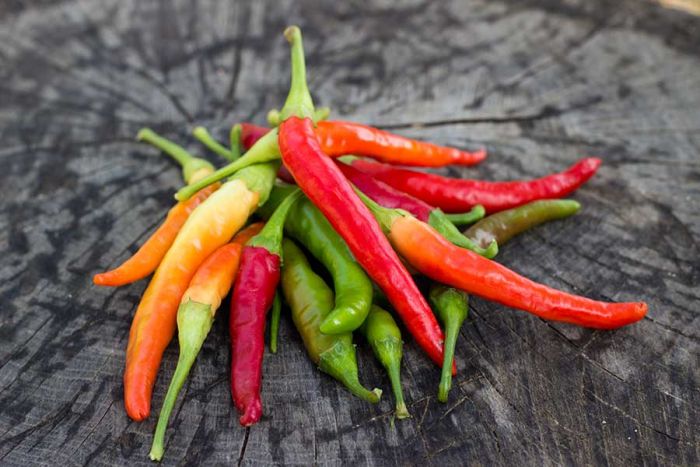 H-1 Natal Cabe Sekilo Merangkak Tipis, Segini Harga Sembako di Jatim H-1 Natal Cabe Sekilo Merangkak Tipis, Segini Harga Sembako di Jatim