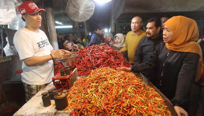 Temukan Harga Cabai Anjlok, Khofifah Minta Bupati Wali Kota untuk Lakukan Gerakan Borong Cabai Temukan Harga Cabai Anjlok, Khofifah Minta Bupati Wali Kota untuk Lakukan Gerakan Borong Cabai