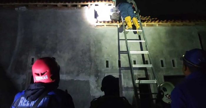 Damkar Kabupaten Pasuruan Evakuasi Sarang Tawon Vespa Raksasa di Wonogriyo