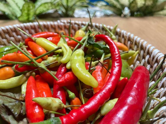 Cabe Sekilo Tembus Rp71 Ribu, Ini Harga Sembako Jatim 4 Januari 2025 Cabe Sekilo Tembus Rp71 Ribu, Ini Harga Sembako Jatim 4 Januari 2025