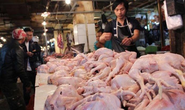 ​Harga Daging Ayam Hidup di Pasuruan Relatif Stabil