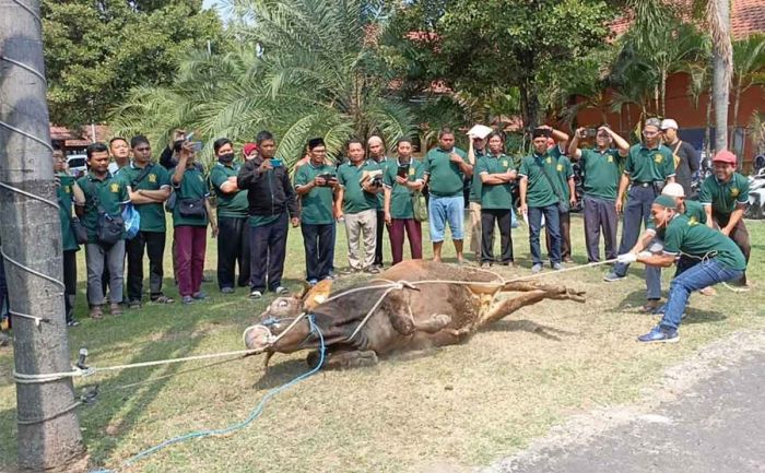 Jelang Iduladha, DKPP dan Juleha Gelar Pelatihan Penyembelihan untuk Takmir di Kota Kediri Jelang Iduladha, DKPP dan Juleha Gelar Pelatihan Penyembelihan untuk Takmir di Kota Kediri