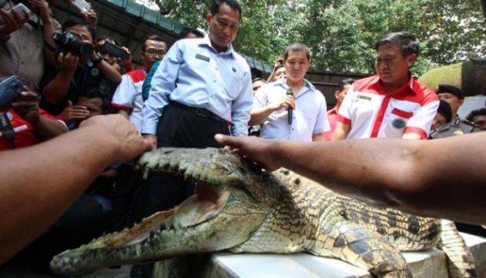Tolak Ide Buwas, Pemkab Sumenep: Bukan Tempat Pembuangan Penjahat Tolak Ide Buwas, Pemkab Sumenep: Bukan Tempat Pembuangan Penjahat