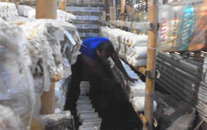 Tak Diminati Wisatawan Lokal, Kampung Jamur di Wadungsih ‘Meredup’