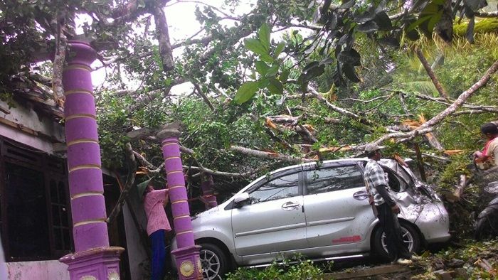 Pohon Tumbang di Pacitan Hajar Satu Rumah dan Mobil Pohon Tumbang di Pacitan Hajar Satu Rumah dan Mobil