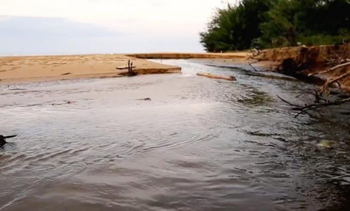Dugaan Pencemaran Pantai Lombang Akibat Limbah Tambak Udang, Disparbudpora Tunggu Kajian DLH Dugaan Pencemaran Pantai Lombang Akibat Limbah Tambak Udang, Disparbudpora Tunggu Kajian DLH