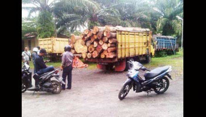 Polsek Bangalsari Jember Amankan Truk Pengangkut Kayu Gelondongan, Sopir Kabur