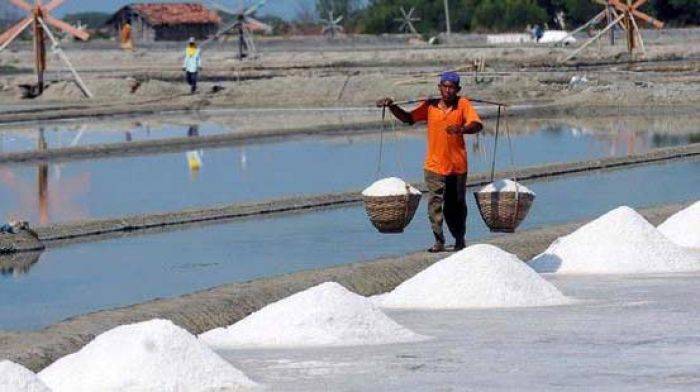 Peraturan Dianggap Merugikan, Petani Garam Sumenep Ancam Demo Kemendag Peraturan Dianggap Merugikan, Petani Garam Sumenep Ancam Demo Kemendag