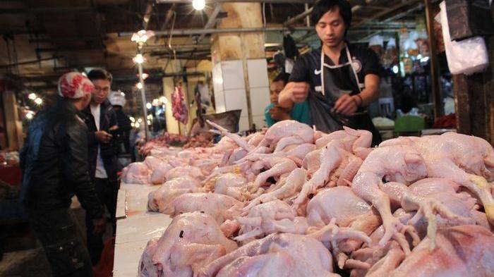 Tahun Baru, Harga Daging Ayam di Lamongan Capai Rp 34 Ribu per Kilogram Tahun Baru, Harga Daging Ayam di Lamongan Capai Rp 34 Ribu per Kilogram