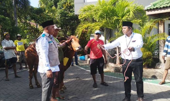 Peringati Idul Adha 1440 H, PT PLN UP3 Pamekasan Kurban 12 Sapi dan 4 Kambing Peringati Idul Adha 1440 H, PT PLN UP3 Pamekasan Kurban 12 Sapi dan 4 Kambing