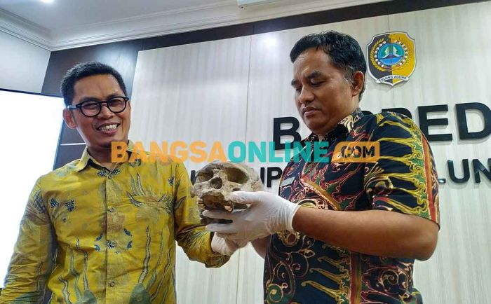 Replika Tengkorak Fosil Homowajakensis Tiba di Tulungagung Replika Tengkorak Fosil Homowajakensis Tiba di Tulungagung