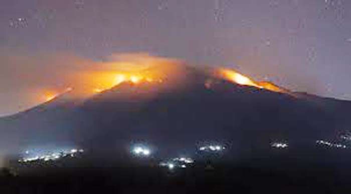 ​Diduga Dibakar, Hutan di Lereng Gunung Arjuno Pasuruan Terancam Habis