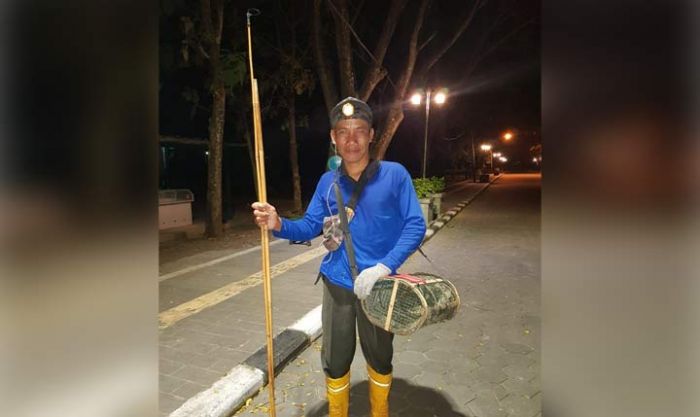 Kisah Mariman Pemburu Tokek di Benteng Van Den Bosch, Sehari Bisa Raup Ratusan Ribu Rupiah Kisah Mariman Pemburu Tokek di Benteng Van Den Bosch, Sehari Bisa Raup Ratusan Ribu Rupiah
