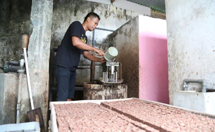 Usaha Membuat Coopers, Media Semai Modern Ramah Lingkungan di Tengah Pandemi Usaha Membuat Coopers, Media Semai Modern Ramah Lingkungan di Tengah Pandemi