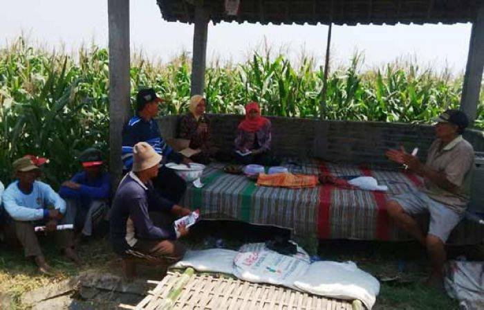 Serap Aspirasi, Haryanti Kunjungi Petani dan Sentra Industri Pembuatan Sepatu Serap Aspirasi, Haryanti Kunjungi Petani dan Sentra Industri Pembuatan Sepatu