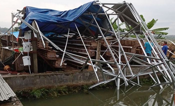 BPBD Blitar Data Jumlah Bangunan Rusak Akibat Hujan Deras Disertai Angin Kencang