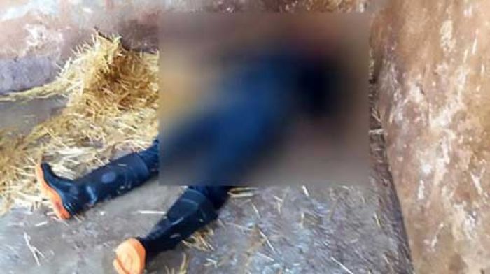 Lupa Mengunci Kandang, Petugas Kebun Binatang Tewas Diterkam Singa Lupa Mengunci Kandang, Petugas Kebun Binatang Tewas Diterkam Singa