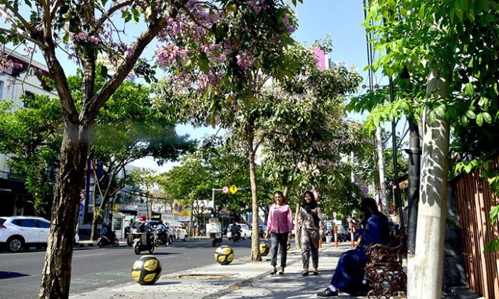 Surabaya Makin Cantik, Ribuan Pohon Tabebuya Bermekaran di Sepanjang Jalan Protokol Surabaya Makin Cantik, Ribuan Pohon Tabebuya Bermekaran di Sepanjang Jalan Protokol