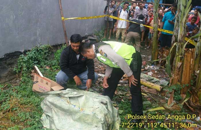 Mayat Bayi Laki-laki di dalam Kresek Gegerkan Warga Sedati Mayat Bayi Laki-laki di dalam Kresek Gegerkan Warga Sedati