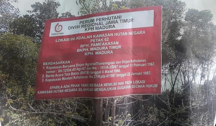 Perum Perhutani KPH Madura Laporkan Kades Pandan ke Polisi, Terkait Dugaan Penebangan Liar Perum Perhutani KPH Madura Laporkan Kades Pandan ke Polisi, Terkait Dugaan Penebangan Liar