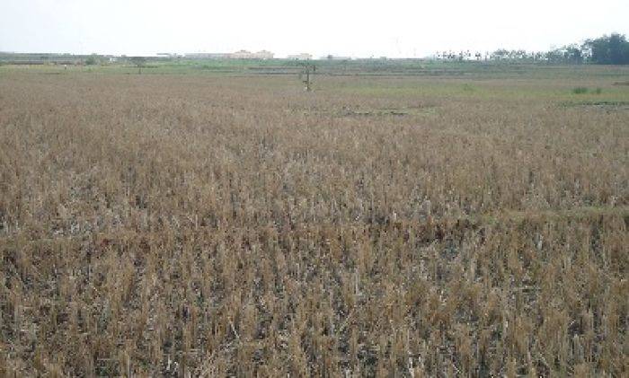 Selain Kepanasan, Warga Sekitar Migas Blok Cepu Bojonegoro Juga Mulai Kekeringan Selain Kepanasan, Warga Sekitar Migas Blok Cepu Bojonegoro Juga Mulai Kekeringan