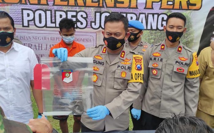 Pencuri Enam Ekor Sapi di Jombang Tertangkap di Probolinggo Pencuri Enam Ekor Sapi di Jombang Tertangkap di Probolinggo
