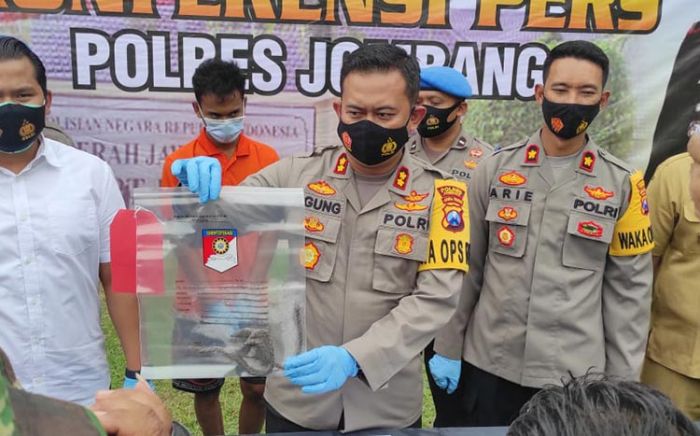 Pencuri Enam Ekor Sapi di Jombang Tertangkap di Probolinggo