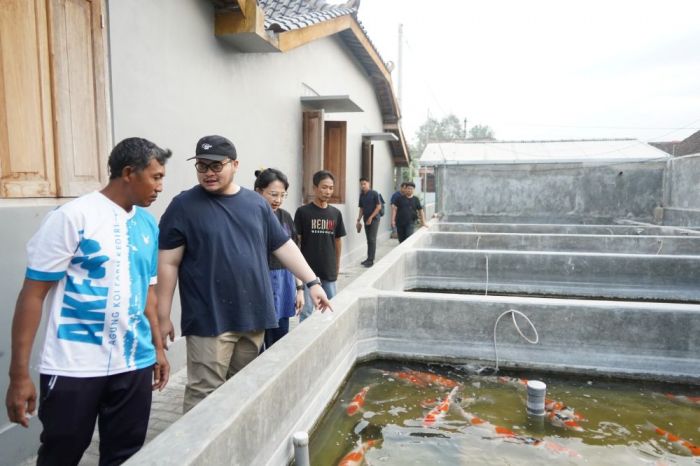 Nilai Ekonomis Capai Rp700 Milyar, Pemkab Kediri Bakal Gelar Kediri Koi Show 12 Nilai Ekonomis Capai Rp700 Milyar, Pemkab Kediri Bakal Gelar Kediri Koi Show 12