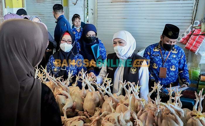 Antisipasi Lonjakan Harga, Gubernur Khofifah Sidak dan Gelar Pasar Murah di Gresik Antisipasi Lonjakan Harga, Gubernur Khofifah Sidak dan Gelar Pasar Murah di Gresik