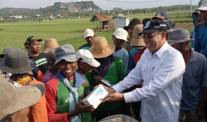 Terancam Gagal Panen, Bacabup Tuban Setiajit Bantu Pestisida kepada Petani Terancam Gagal Panen, Bacabup Tuban Setiajit Bantu Pestisida kepada Petani