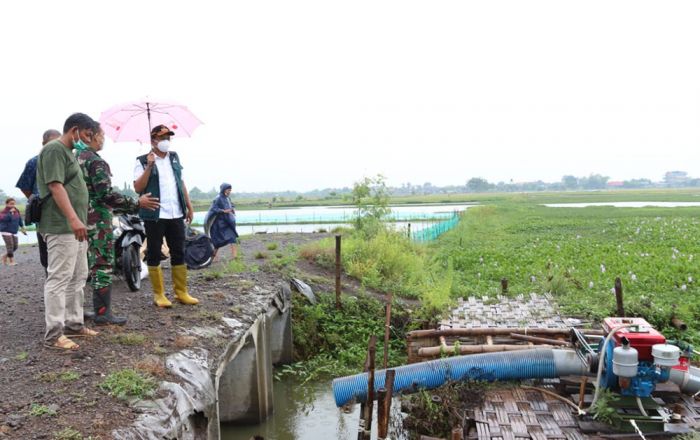 Keliling Desa Langganan Banjir di Tanggulangin, Gus Muhdlor Kebut Bangun 6 Kisdam Keliling Desa Langganan Banjir di Tanggulangin, Gus Muhdlor Kebut Bangun 6 Kisdam