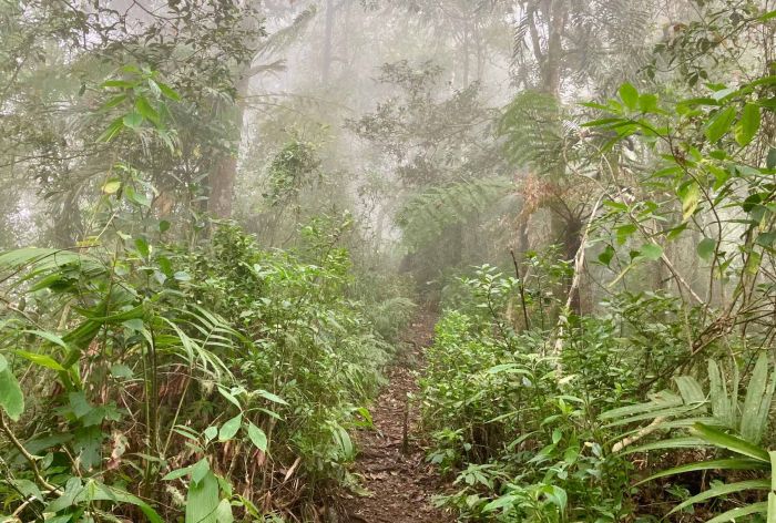 Jangan Salah! Keduanya Bisa Dilakukan di Gunung, Tapi Inilah Beda Hiking dan Trekking Jangan Salah! Keduanya Bisa Dilakukan di Gunung, Tapi Inilah Beda Hiking dan Trekking